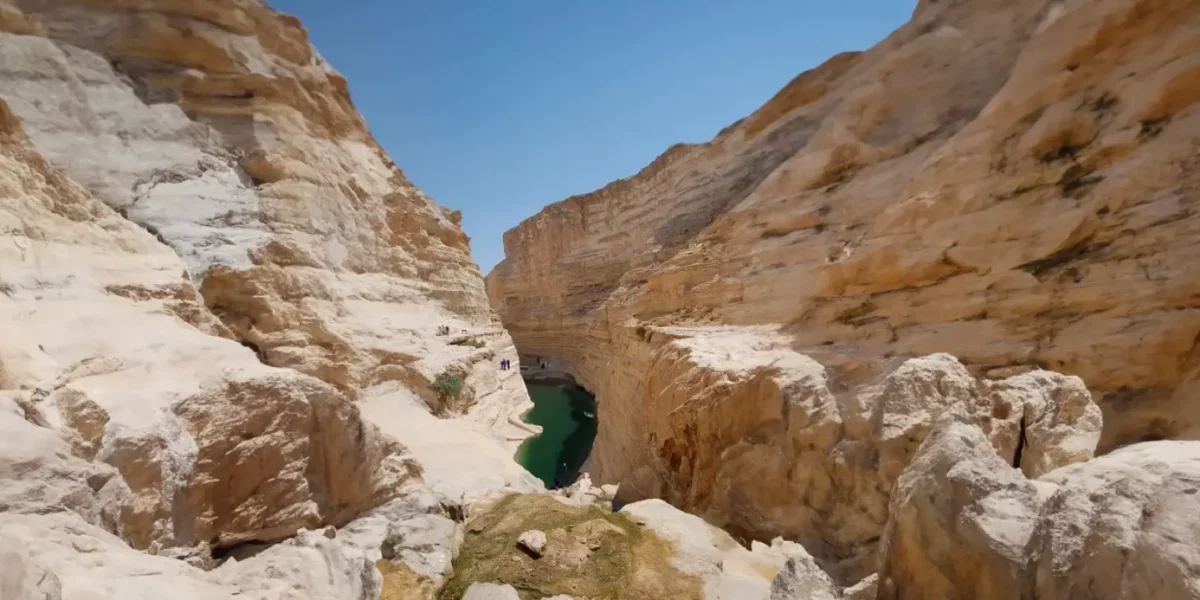 desert-ddscds