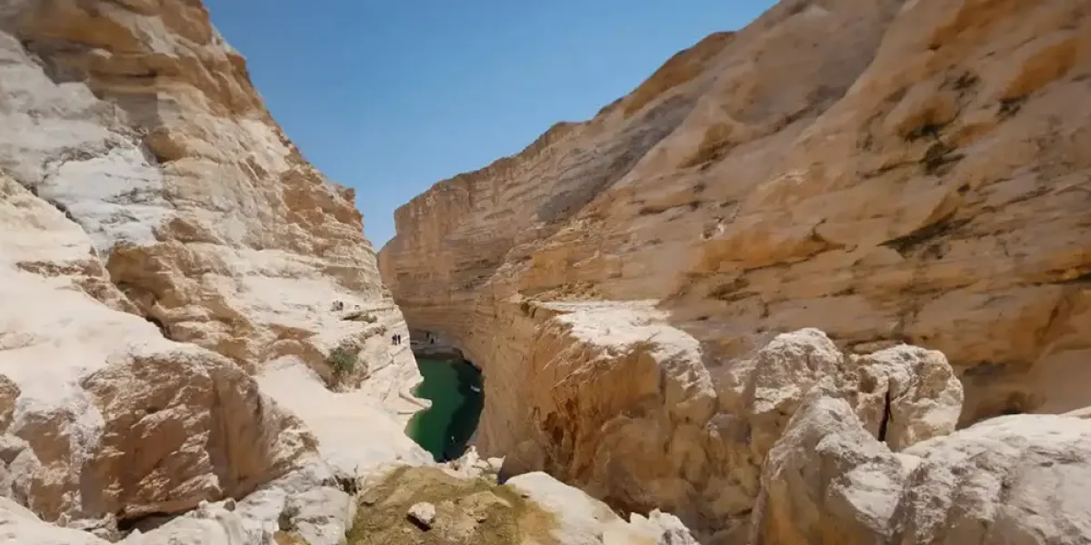 negev2